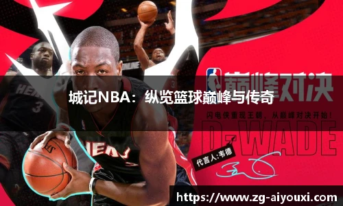 城记NBA：纵览篮球巅峰与传奇